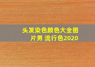 头发染色颜色大全图片男 流行色2020